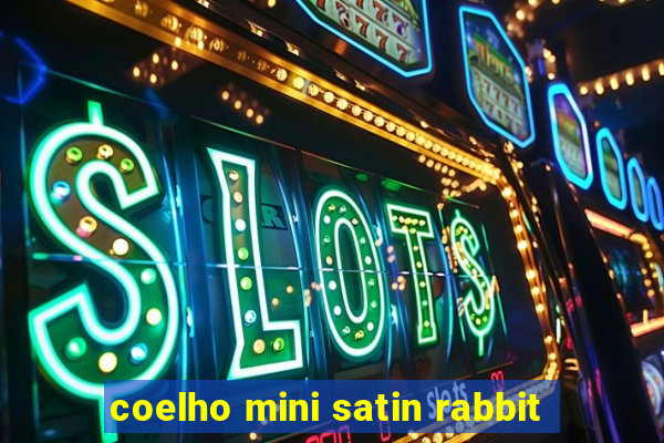 coelho mini satin rabbit